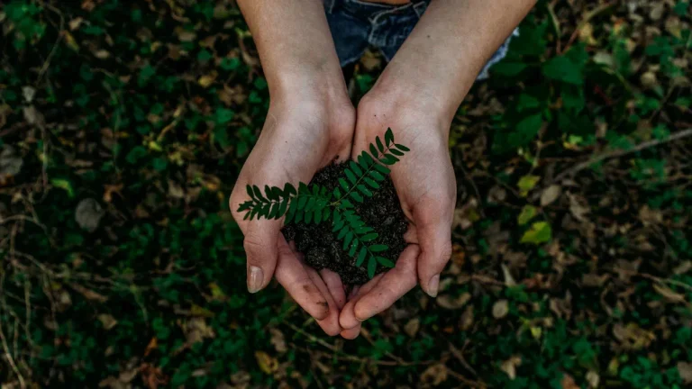 Sustainable Large Format Printing: Eco-Friendly Materials and Best Practices